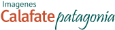 Logo Lugar