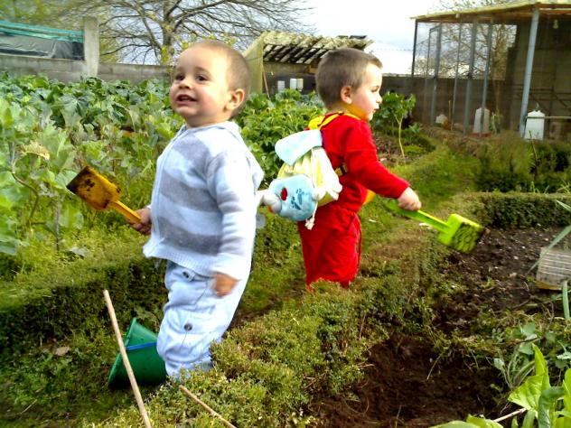 mas proyecto huerta