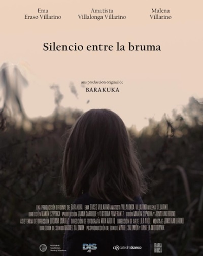 Afiche Silencio entre la bruma