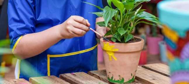 Taller de huerta