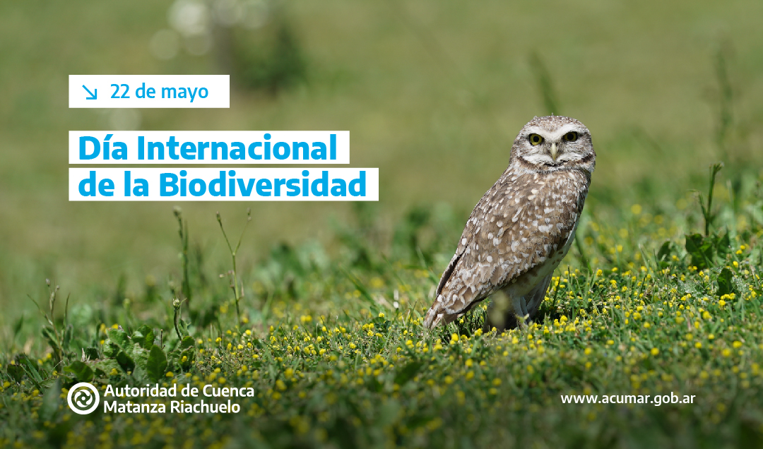 Biodiversidad de la Cuenca
