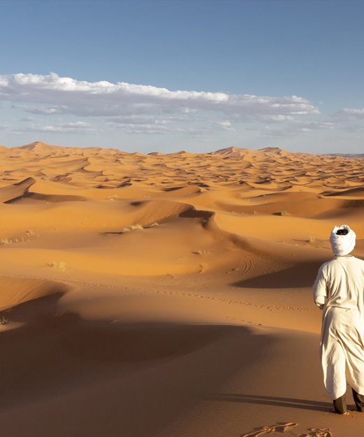 las voces del desierto