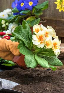 actividad Taller de jardinería