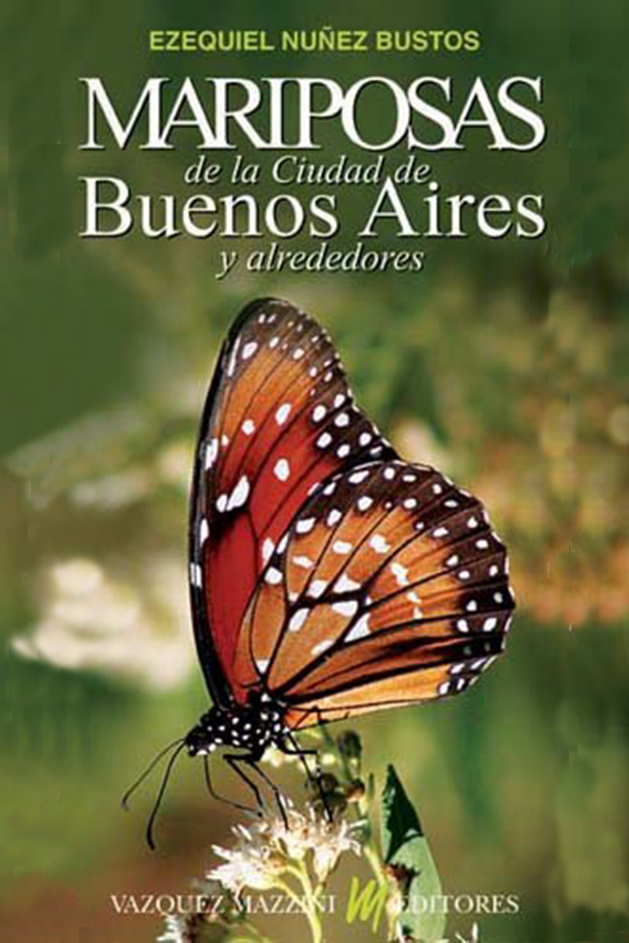 Mariposas Ciudad Buenos Aires