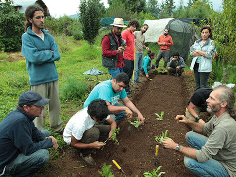 taller de huerta