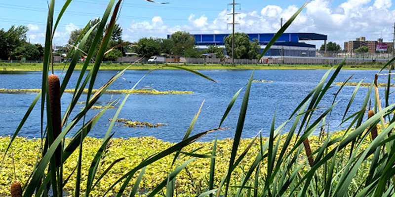 banner naturaleza riachuelo