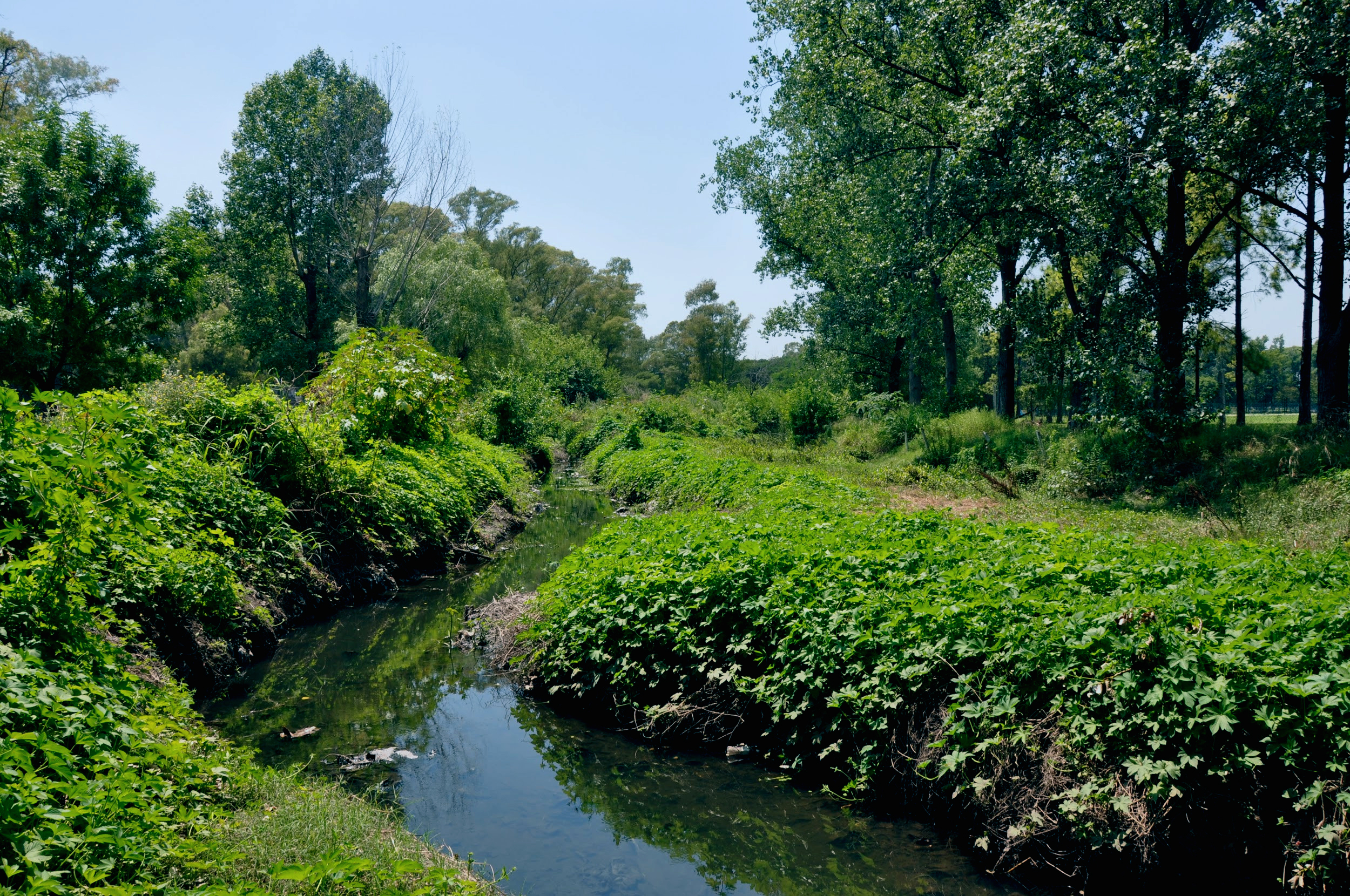 imagenes del riachuelo