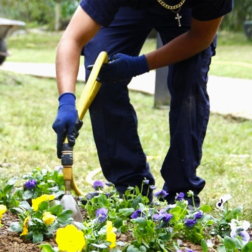 tecnico en jardineria