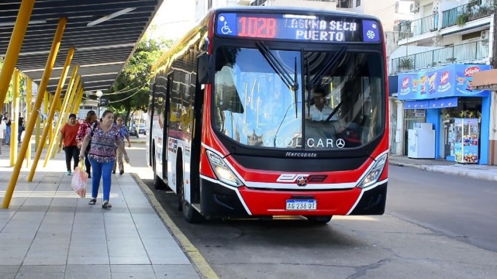 Colectivos