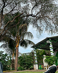 foto de campo
