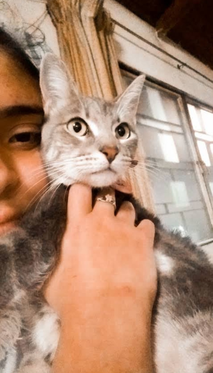 Mi gatita angelito