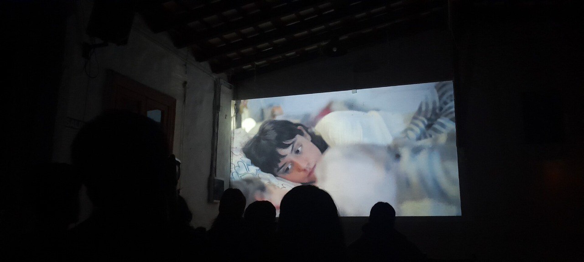 Ciclo Directoras Argentinas