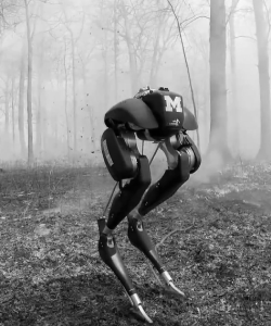 Poster Las máquinas tristes