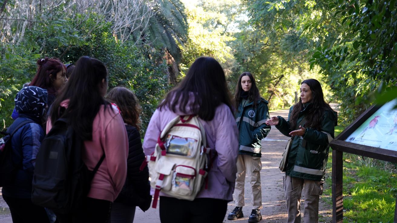 Voluntariado educación