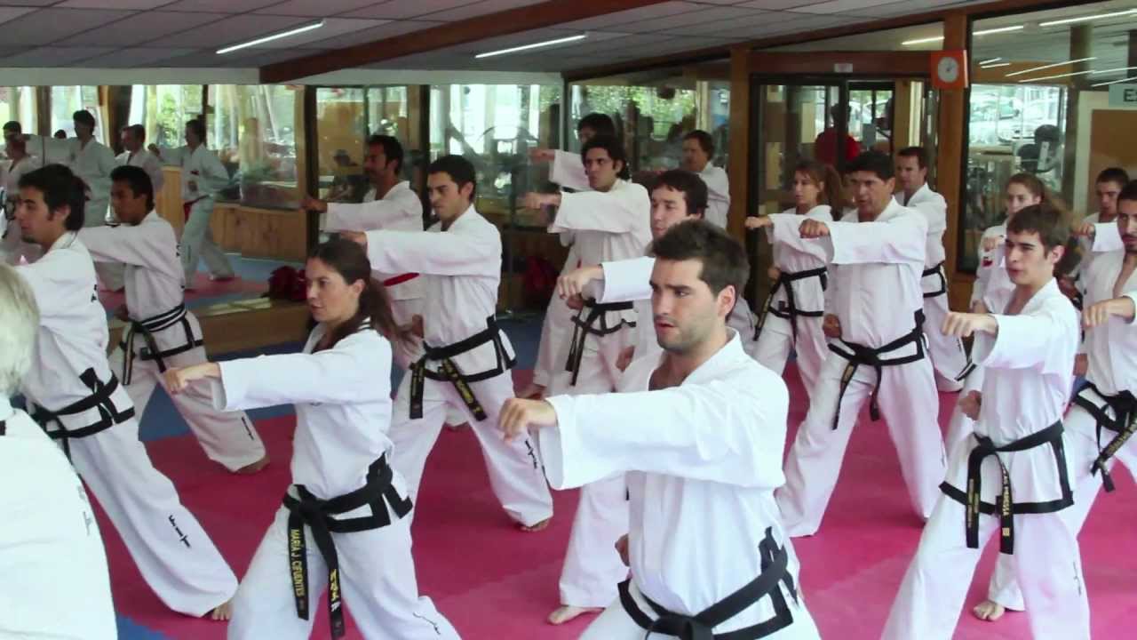 taekwondo