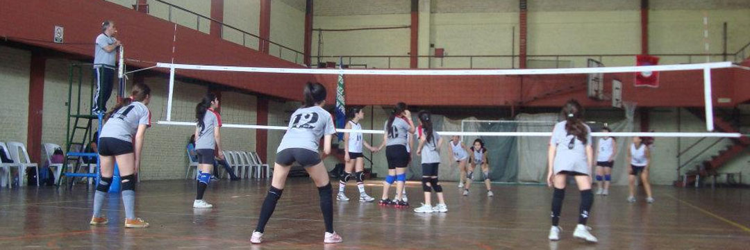 Voley