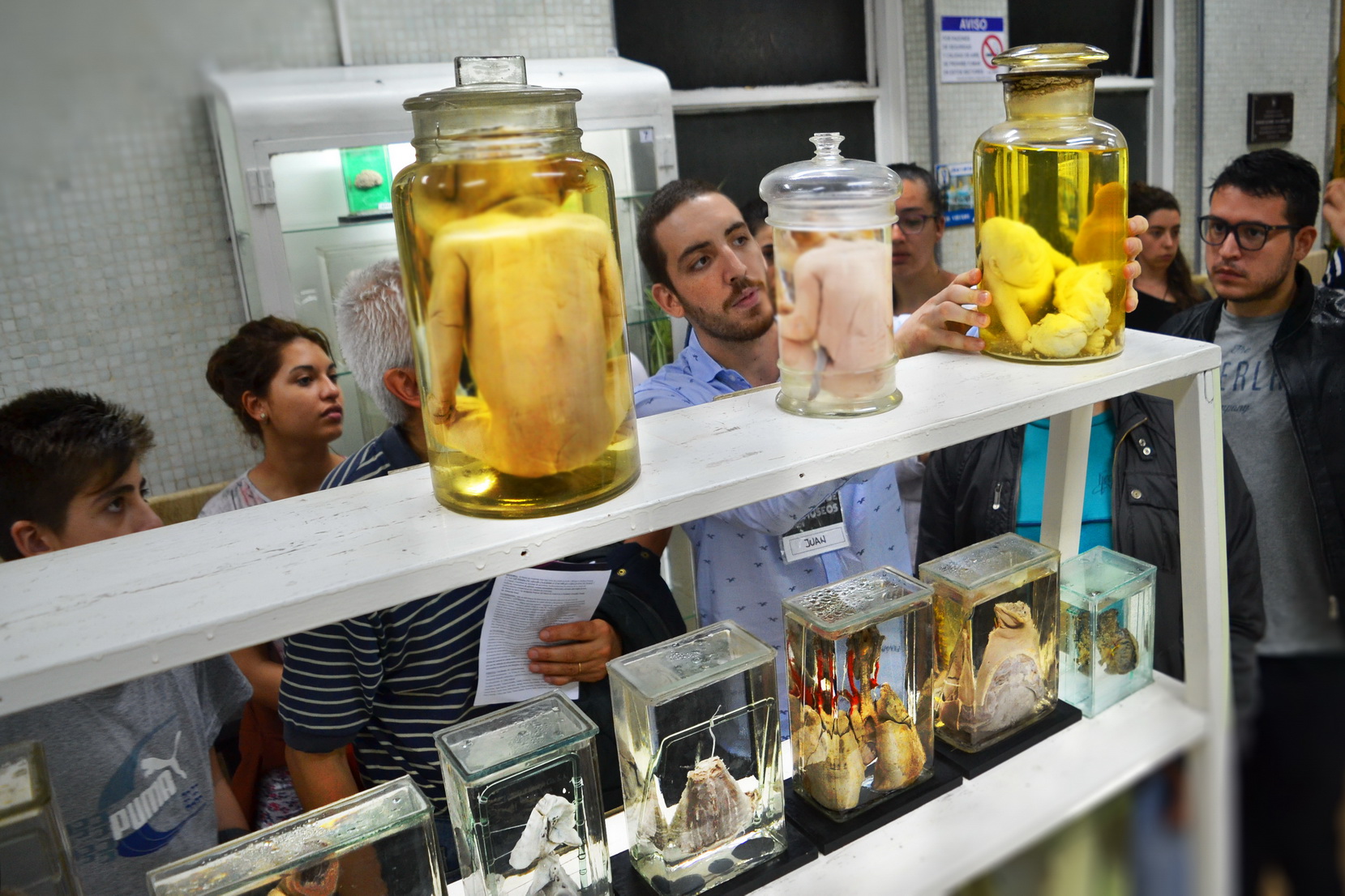 Museo de Anatomía